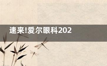 速来!爱尔眼科2025价目表全新上线,近视|斜视|OK镜|白内障费用全解析